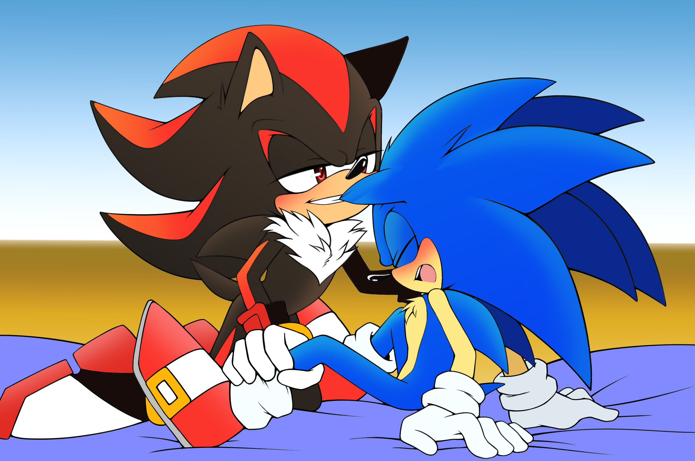 Sonadow Collab By AngelofHapiness.